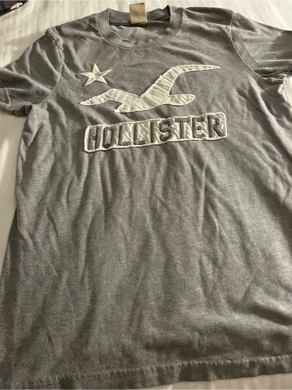 Hollister Gray Tee with White Seagull Logo